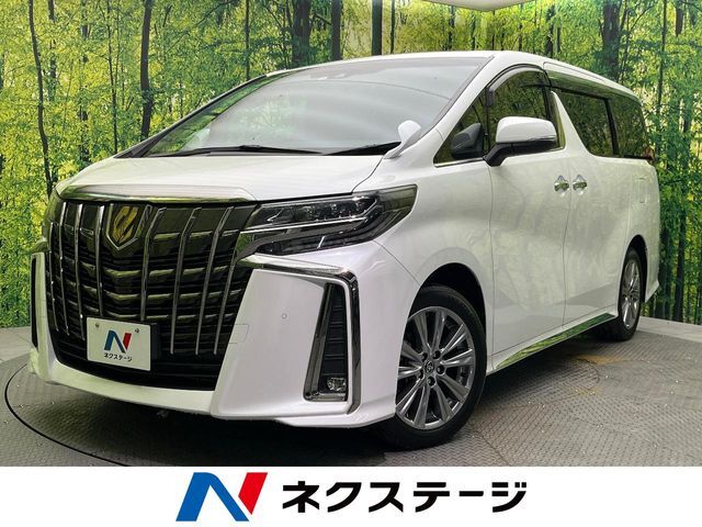 サンルーフ　両側電動ドア　後席モニター　バックカメラ　衝突被害軽減
