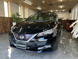 日産 リーフ e+ X 62kwh 12セグ プロパイロット　記録簿