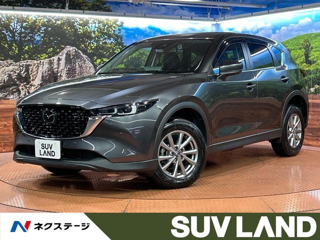 ターボ　純正10型ナビ　全周囲カメラ　衝突被害軽減装置　レーダークルーズ