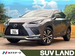 レクサス NX 300h Fスポーツ 純正10型ナビ　全周囲カメラ　ブラインドス