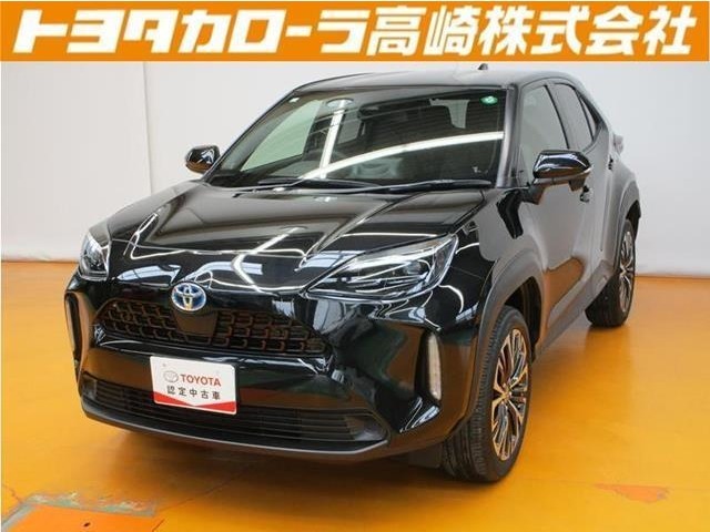 群馬県にお住いの方のみに販売させて頂きます。
