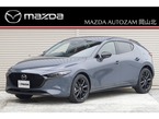 2.0 20S レトロスポーツエディション