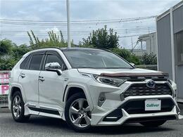 トヨタ RAV4 2.5 ハイブリッド G E-Four 4WD 4WD サンルーフ