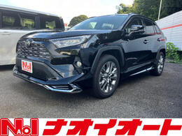 トヨタ RAV4 2.0 G Zパッケージ 4WD モデリスタエアロ　純正ナビ地デジBカメラ