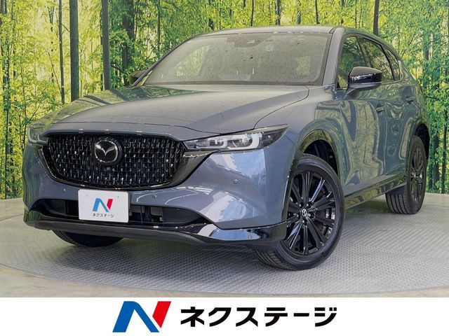純正10型ナビ　全周囲カメラ　衝突被害軽減システム　レーダークルーズ