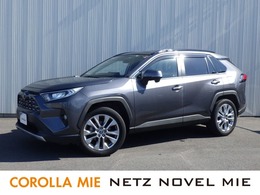 トヨタ RAV4 2.0 G Zパッケージ 4WD 衝突軽減装置/パワーバックドア/電動シート