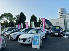 広々とした展示場にはお車が沢山！！皆さまが素敵なお車に出会えるよう、全力でサポートさせていただきます！＾＾