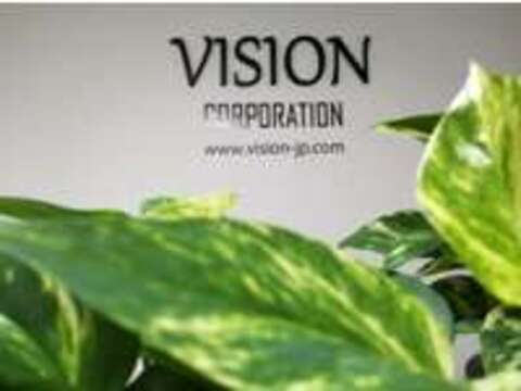 VISION　CORPORATION 