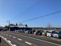 いろんな車種と取り揃えています。在庫にないお車もご用意できますのでお気軽にご相談下さい。