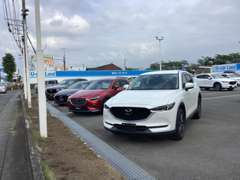 人気のSUVからコンパクト軽自動車まで多数展示しております！