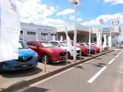 雨の日でも大型キャノピーで傘いらず◆展示車をゆっくり見れます