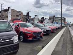自信を持って、安心して選んでいただけるマツダのU-car