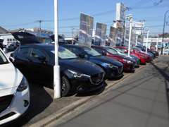 軽自動車、コンパクトカー、SUV、ミニバンと何でもあります！