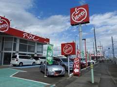 当地域最大級の規模を誇るお店の広さと、たくさんのクルマに囲まれた当店です♪