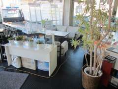 たくさんのキレイな植物が迎えてくれる、温かみのある店内です。