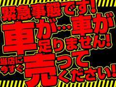 今、、、販売車両がありません(◎_◎;)　　お車売ってください！