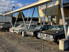 旧車販売も自慢です！『昭和の車に乗りたい』そんな夢をお持ちの方！オーナーの趣味も含めて旧車を多く展示！夢の車も夢じゃない！