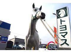 34号線沿い　佐賀競馬場近く「カーショップトヨマス」。馬のオブジェが目印です！