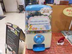 スタッフのお姉さんにお願いすると、専用コインを貰えますよっ