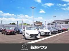 コンパクトで乗りやすい【MAZDAシリーズ】や軽自動車も充実の台数で展示しております。カラーラインナップも豊富です。