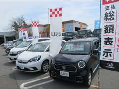 中古車の展示は産業道路沿いだけではなく、ショールーム裏手でも行っております。気になるお車があればぜひお問合せください！