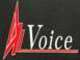 Voice null