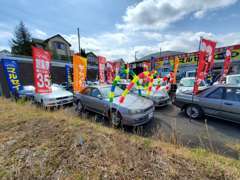 地域の方、女性の方、お車のことは、1から10まで何でもお任せください！ここにないお車はお探しすることもできます！