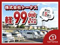 トータス 99.8万円　専門店