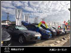 和歌山マツダでは土日展示会を開催予定。特選車をご用意しております！是非ご来店ください。