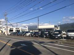 展示場に常時20台以上のお車を展示しております。