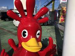 赤い鳥が目印　トヨタのクルマ買取　徳島昭和店も併設。