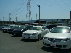 当店では広い敷地の中に余裕も持ってお車を並べております！　お車を隅々まで見て頂けるよう心掛けております☆