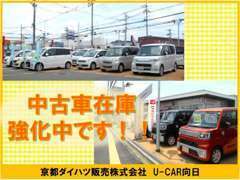 U-CAR向日店では、中古車在庫強化中です♪常時車種豊富に車両をご用意しております！