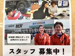 スタッフ募集中！営業さん、メカニックさん、業務さん等、私達と一緒に働きませんか？お気軽にお問合せ下さい。