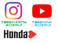 インスタグラムやYouTubeにて最新情報をアップしています♪