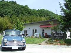 日本とは思えないようなゆったりとした庭にガーデニングと車とカフェのコラボレーションが癒しの空間を演出。