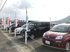 お買い得車多数展示中！