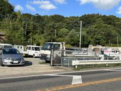 自然香る景色のもと、在庫がいきいきと輝きを放してます！唯一無二の車を一緒に探してみませんか。