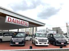 お車はご覧いただけやすいように配置しております！どうぞ、ごゆっくりご覧ください！