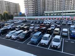 展示場にて実際にお車を見ていただけます。車探しから、スタッフがしっかりをサポートいたします！