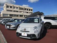 展示場にはプロが厳選した良質な中古車を展示中