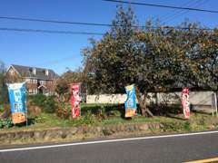 富岡方面から国道254号を来て、吉井町「黒熊」の信号100m先の左側に登り旗と小さな看板あります！