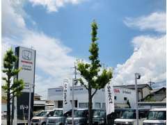 ▼ホンダカーズ中央佐賀は今年で創業50周年！地元の皆様に愛されるHondaディーラー★