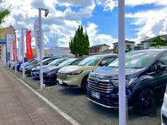 ▼展示場には50台以上の認定中古車がズラリ！ご購入後も安心してお乗りいただけます★