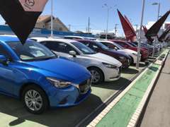 中古車展示スペースは当社でも最大級の広さです♪ 30台以上の展示車の中から、皆さまにピッタリの1台を見つけられます♪