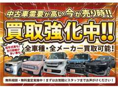 ドリームでは、嘘・偽りなく各車この価格でご購入可能です