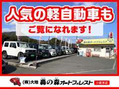 おしゃれで機能性充実の軽自動車もご紹介出来ます！新車もご検討出来ますのでお車に詳しくないお客様でもお気軽にご質問下さい♪