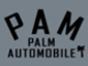 PALM　AUTOMOBILE null