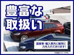 輸入車・国産・トラックまで幅広く取扱います！注文販売も承っております！