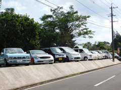 展示車以外でも気になるお車があればお探しする事も出来ます！